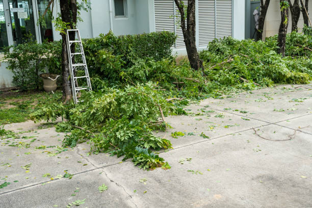 Lawn Irrigation Installation and Maintenance in Boron, CA